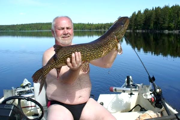Gädda
